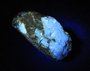 +++ Bernstein (UV) -- Sumatra, Indonesien +++ 105 ct +++ blau fluoreszierend - Picture 1 of 4