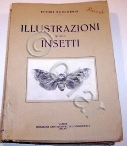 E. Roncoroni - Illustrazioni sugli insetti - 1^ ed.  1937 - Foto 1 di 1