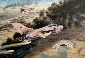 Panavia Tornado GR.1 15 Squadron Gulf War Aircraft Painting Art Print - Picture 1 of 1