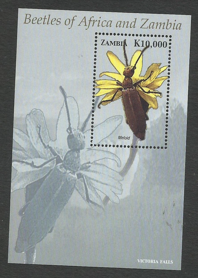 BEETLES - ZAMBIA, 2004, BLOCK, MNH - Image 1 of 1