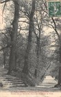 CPA 47 NERAC LES JUMEAUX DE LA GARENNE ARBRE