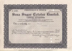 Certificado de acciones Sena Sugar Estates Limited - empresa británica en Mozambique - Imagen 1 de 1
