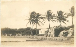 Postal RPPC Hawaii C-1910 Pajar Agricultura Campo de arroz 23-8849 - Imagen 1 de 2