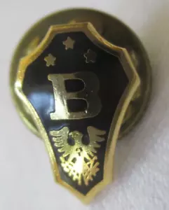 VINTAGE B NATIONAL BETA CLUB MEMBER EAGLE STARS LAPEL PIN - Picture 1 of 4