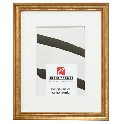 Marco de fotos dorado ornamentado Craig Frames 314GD 11x17, mate para mostrar fotos de 8x12 Foto 1 de 4