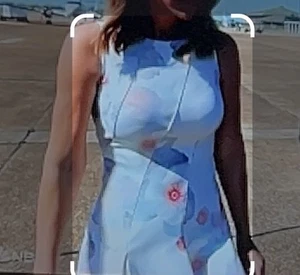 NWT Ted Baker Floral Shift Dress - Size 2 to a Size 4 - Elegant Fit & Flare - Picture 1 of 15