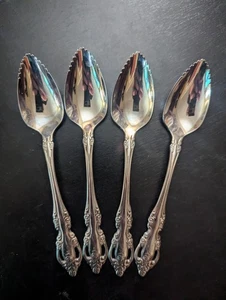 Oneida BRAHMS 4pz Cucchiai Frutta Agrumi Comunità Pompelmo Inox - Foto 1 di 2