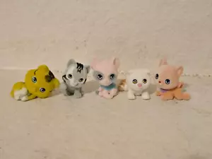 Kitty in my Pocket Serie 2 5er Set Sphinx, Abessinian, Scottish Fold, Bobtail - Bild 1 von 4