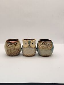 Small Ceramic Owl Succulent Planters  Set Of 3