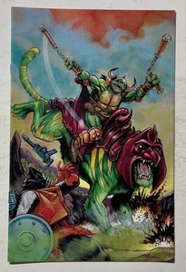 TEENAGE MUTANT NINJA TURTLES OF GRAYSKULL # 1 VARIANTE IDW HE MAN TMNT COMIC EC - Bild 1 von 2
