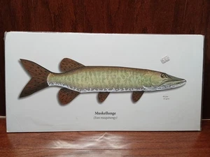Impresión de PECES de colección con impresión de arte de peces almizcleros pesca arte de pared decoración de playa 20x10" - Imagen 1 de 7
