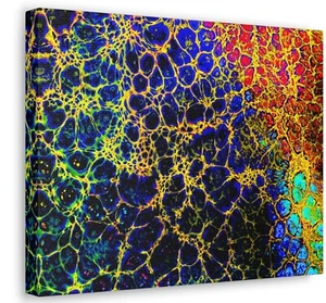 Abstract Painting Print Gallery Wrapped Canvas Acrylic Pour Artist Wall Art #035 - Picture 1 of 13