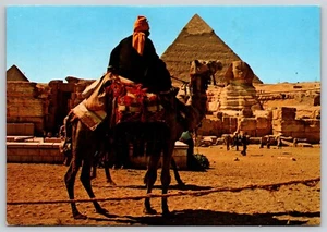 Postcard Dromedary Camel The Great Sphinx Kephran and Mikerinos Pyramids Egypt - Picture 1 of 2