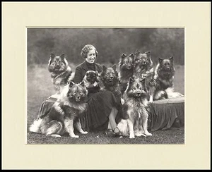 KEESHOND LADY AND HER DOGS LOVELY DOG PHOTO PRINT MOUNTED READY TO FRAME - Picture 1 of 1