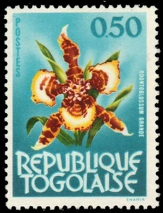 TOGO 461 - Orchid "Odontoglossum grande" (pb39116) - Picture 1 of 1