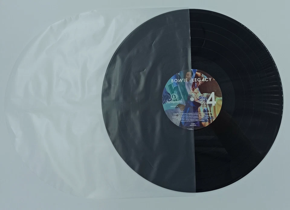 100 POCHETTES INTERIEURES EN PLASTIQUE TYPE NAGAOKA POUR VINYLES 33T 33 TOURS!