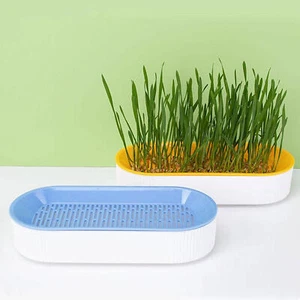 Cat Grass Planting Box Plant Growing Kit Hydroponic Cat Grass Soil-Free Planter - Picture 1 of 14