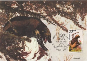 Maxi Tarjeta Wolverine Fauna World Wildlife Canadá EE. UU. Como Nuevo Arte Montana FDC 1987 - Imagen 1 de 2