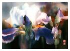 Purple Iris 90 Irises Cheng-Khee Chee Blank Inside Greeting Card