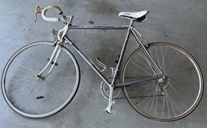 PANASONIC DX 5000 1986 TANGE 1 700c 58cm handmade road race bike - Picture 1 of 12