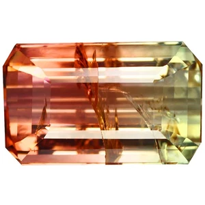11.97 Ct Pretty Octagan 16.5 x 10.1 MM Bi Color Brazil Natural Bi Col Tourmaline - Picture 1 of 5
