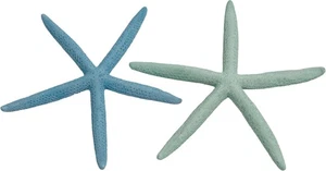 Estrella de mar de 5 dedos 8-10" teñida pastel (juego de 5) - Imagen 1 de 3