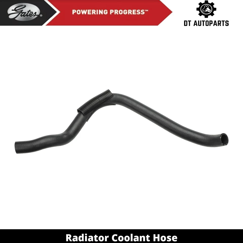 Manguera de refrigerante de radiador Isuzu Oasis 1996-1999 puertas inferiores 1997 1998 Foto 1 de 4