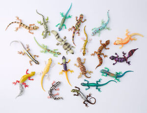 Blue Ocean Geckos Planet WOW – alle 20 verschiedenen Geckos