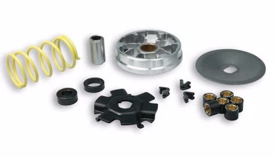 VARIATORE MALOSSI MULTIVAR MHR PIAGGIO SUPERBRAVO 50 N - Immagine 1 di 2
