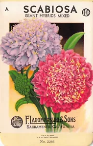 Vintage Seed Packet: SCABIOSA, Lagomarsino & Sons, Sacramento, 1940's - Picture 1 of 2