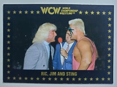 1991 Championship Marketing WCW #66 RIC FLAIR , JIM AND STING - Image 1 of 2