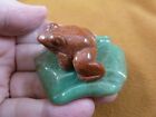 (Y-Fro-Lp-714) Orange Frog Frogs Green Lily Pad Stone Gemstone Carving Figurine