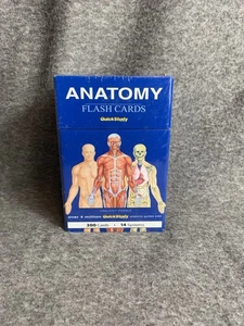 Cartes flash anatomie 300 cartes 14 systèmes étude rapide NEUF SCELLÉVince Perez - Photo 1/7