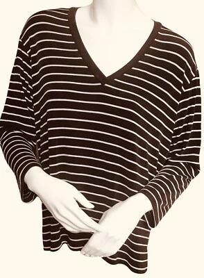 CHICO’S Top 尺寸 3(类似 16)棕色/白色条纹旅行者长袖 V 领 — 第 1/4 张图片