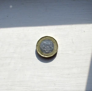 One Pound Coin £1 FALKLAND ISLANDS 2021 - Picture 1 of 2