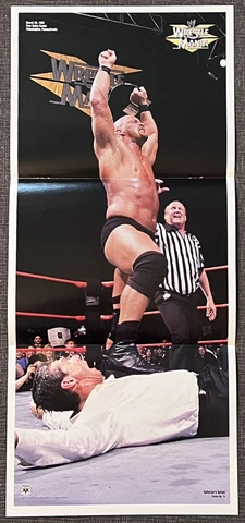 WWE STONE COLD STEVE AUSTIN 10.5 x 24 double sided Wrestling Poster wwf THE ROCK Cover