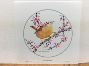 David Plank Carolina Wren II Pink Flowering Tree Mini Art Print - Picture 1 of 1