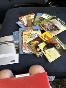 Fountas & Pinnell LLI Grade 3 Red System 97-128 + Test; 1 Set= 26 Books - Picture 1 of 11
