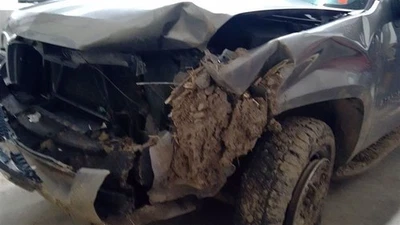 TAHOE     2007 Glove Box 1764188 - Изображение 1 из 4