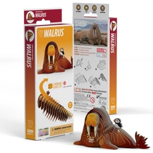 Eugy 3D Modell 107 Walross - Bild 1 von 4