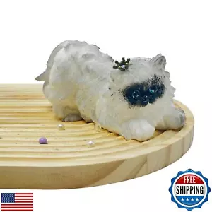 Taba Squishy Cat Squeeze Toys Cute Fufu Squishy Toys, Cat Squeeze Toys for St - Picture 1 of 5