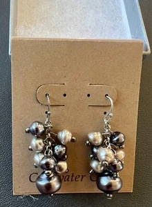 Coldwater Creek Pearlescent Cluster Earrings Silver/Gray NIB - Picture 1 of 2