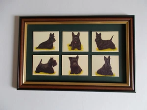 SCOTTISH TERRIERS  TRADE CARDS FRAMED - Imagen 1 de 1