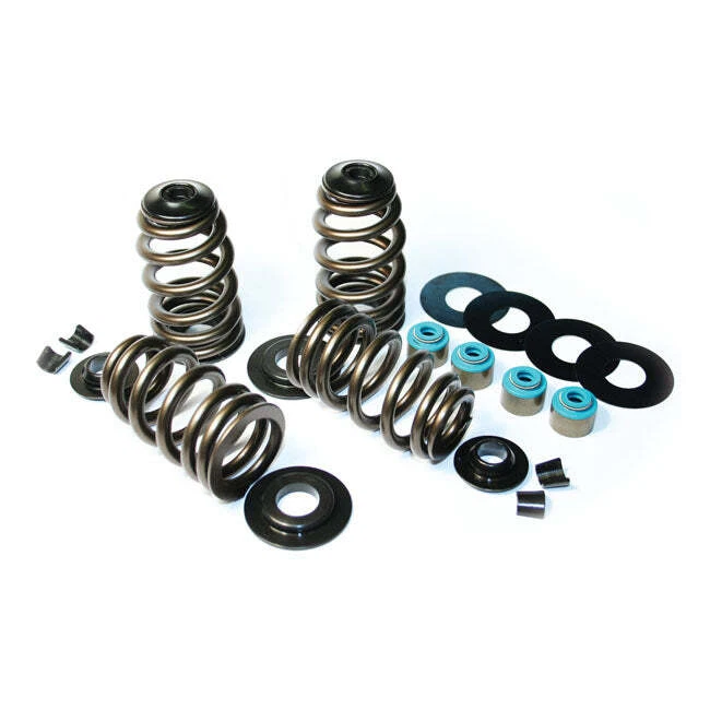 Feuling Moto Econo Beehive Valve Spring Kit - .585" Lift For 05-17 NU TCA/B - Image 1 of 1