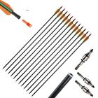 Glass Fiber Hunting Arrows Diameter 8mm Plastic Feather Replaceable Arrow Point