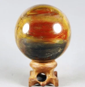 A 303g PETRIFIED WOOD AGATE Crystal With Rose Wood Stand From Madagascar - Picture 1 of 12