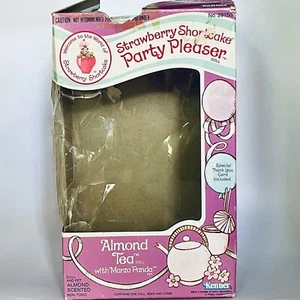Strawberry Shortcake Almond Tea Party Pleaser EMPTY BOX ONLY Kenner Vintage 80s - Picture 1 of 11
