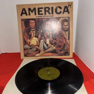 America: A HORSE WITH NO HOME - Picture 1 of 7