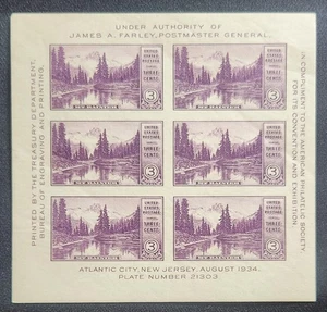 US Scott 750 - Mount Rainier - MNH - 1934 Issue - Imperforated Sheet of 6 - Picture 1 of 2