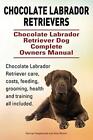 Chocolate Labrador Retrievers. Chocolate Labrador Retriever Dog Complete Owne<|